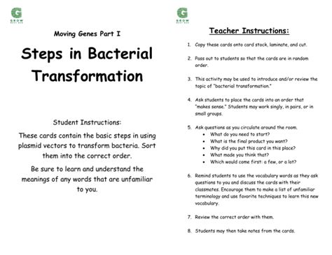 Steps in Bacterial Transformation