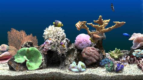 Marine Aquarium Virtual Fishtank | Marine aquarium, Aquarium screensaver, Aquarium