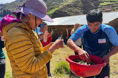 Huayhuash Trek Classic Short - 8 days - Andean Raju Expeditions