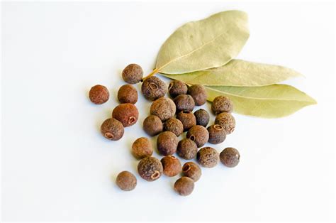 7 Health Benefits Of Allspice