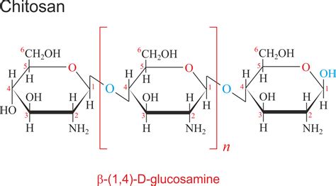 Chitosan @ Chemistry Dictionary & Glossary