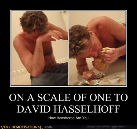 ON A SCALE OF ONE TO DAVID HASSELHOFF - Very Demotivational - Demotivational Posters | Very ...