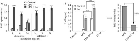 Frontiers | Exclusive Temporal Stimulation of IL-10 Expression in LPS ...