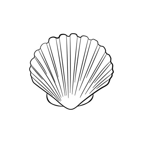 Sea shell, scallop vector sketch illustration. Seashell outline icon ...