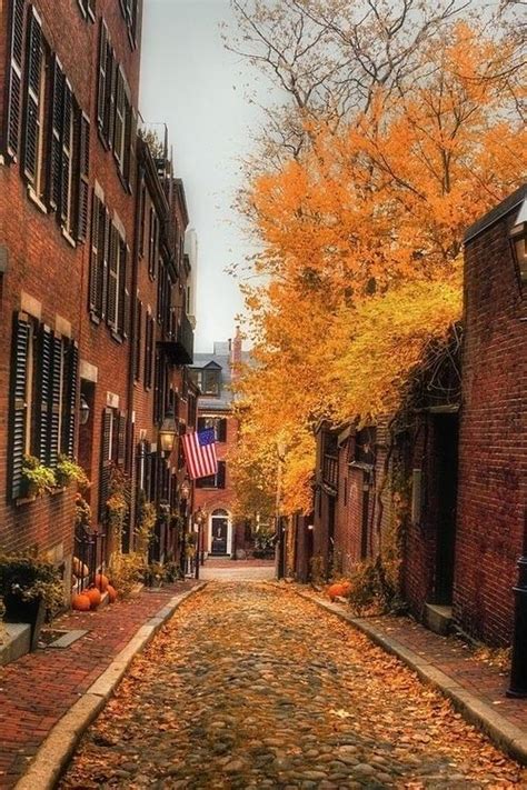 Simply Wild | Boston photography, Boston in the fall, Scenery