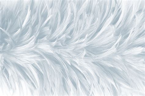 Premium Photo | White feather texture background