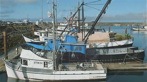 Fishing boats, Crescent City, California - Stock Video Clip - K001/7120 ...