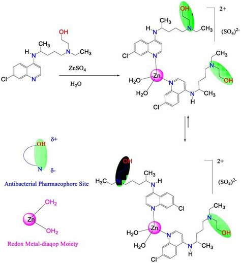 Hypothetic molecular structure of resulting Zinc complex of ...