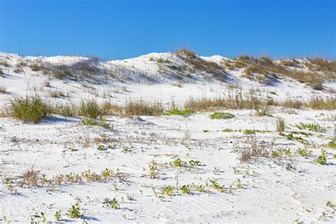 Anastasia State Park, Florida Stock Photo - Image of beach, florida: 144746156