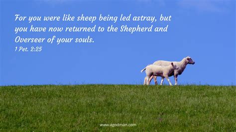 Pay the Price to gain more of the Spirit and Minister Christ to Shepherd the Flock of God