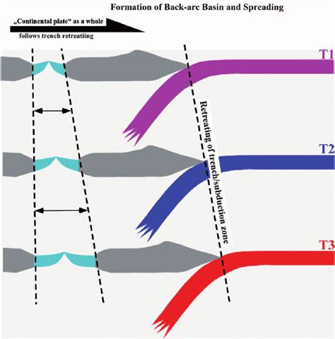 Cartoon illustrating back-arc basin formation and growth. The drifting ...