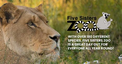 Five Sisters Zoo Experiences - Five Sisters Zoo