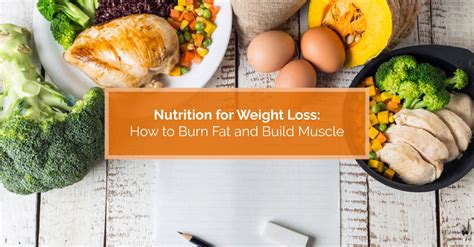 Nutrition for Weight Loss: How to Burn Fat and Build Muscle | Physiomed