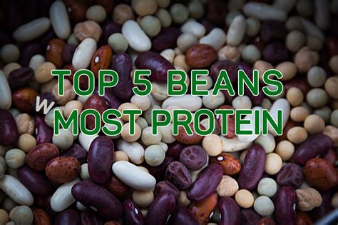 Top 5 Most Protein Rich Beans | All Vegan Foods