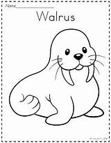 Arctic Animals Coloring Pages By The Kinder Kids  TpT sketch template