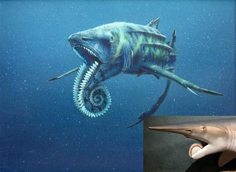 Helicoprion, a prehistoric shark. | Prehistoric creatures, Weird sharks, Prehistoric