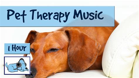 What Kind Of Music Is Best For Soothing Your Dog?