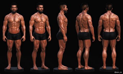 ArtStation - Male Ideal Proportions 2017, agra luanda | Character design male, Luanda, Male