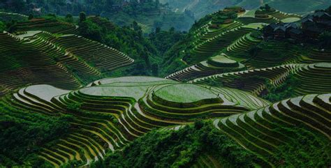 Longsheng rice terraces | Longji rice terrace tours