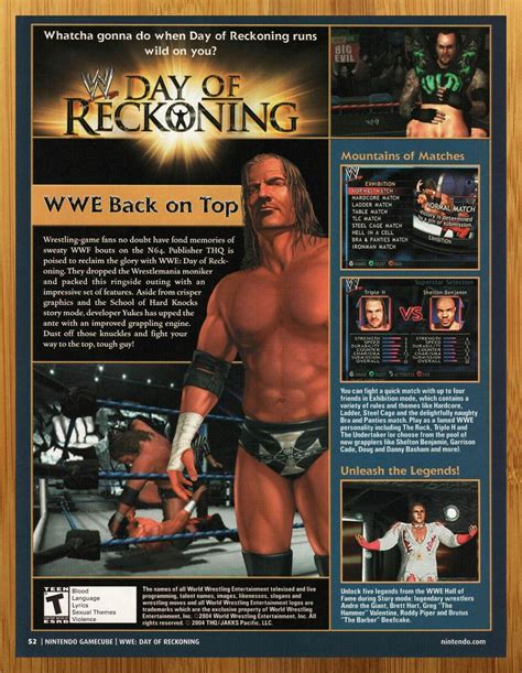 2004 WWE: Day of Reckoning Gamecube Print Ad/Poster Wrestling Promo Art WWF WCW | eBay