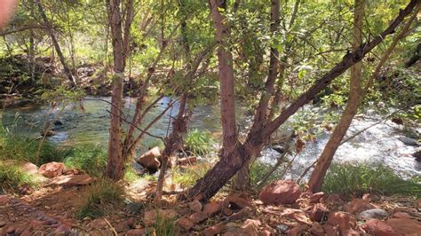 Birding at Red Rock State Park (Sedona. Arizona)