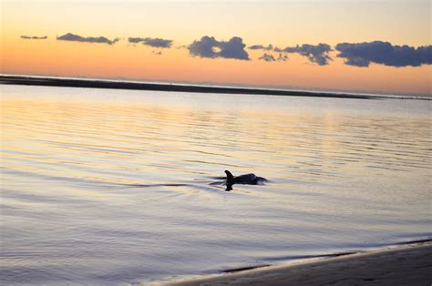 Beach Paradise - Seabrook Island | South Carolina