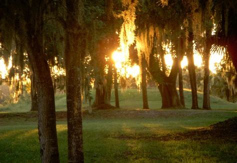 Crystal River Archaeological State Park | Florida State Parks