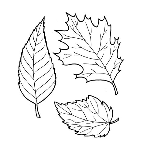 Free Printable Leaf Coloring Pages