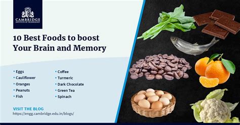 10 BEST FOODS TO BOOST YOUR BRAIN AND MEMORY - CIT - Cambridge Institute of Technology | Cambrian