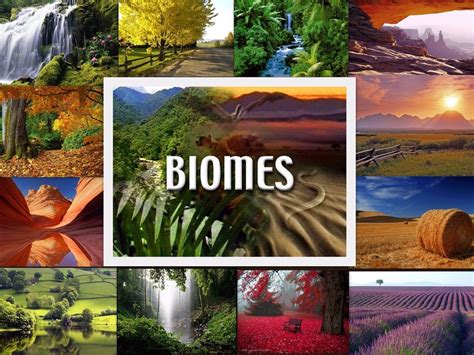 Biomes | The A Level Biologist - Your Hub