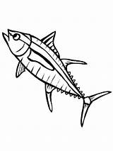 Tuna fish coloring Pages Download And Print sketch template