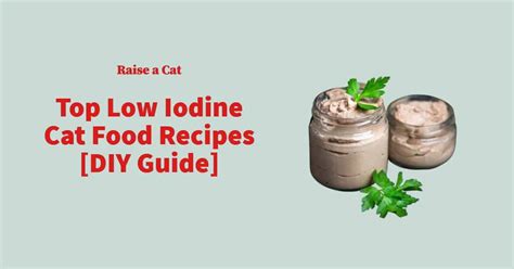 7 Easy Homemade Low Iodine Cat Food Recipes | Raise a Cat