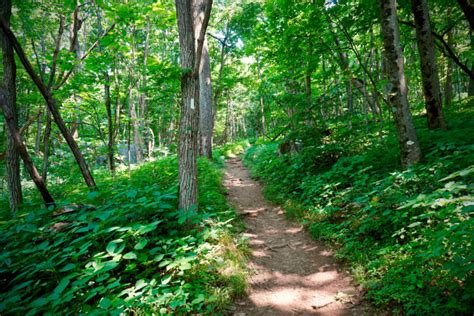 20 Amazing Hiking Trails in Virginia