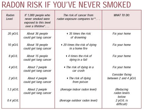 Epa Radon Levels In Homes - Homemade Ftempo
