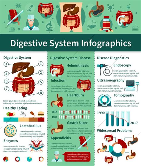 Colored digestive system flat infographics with different types of ...