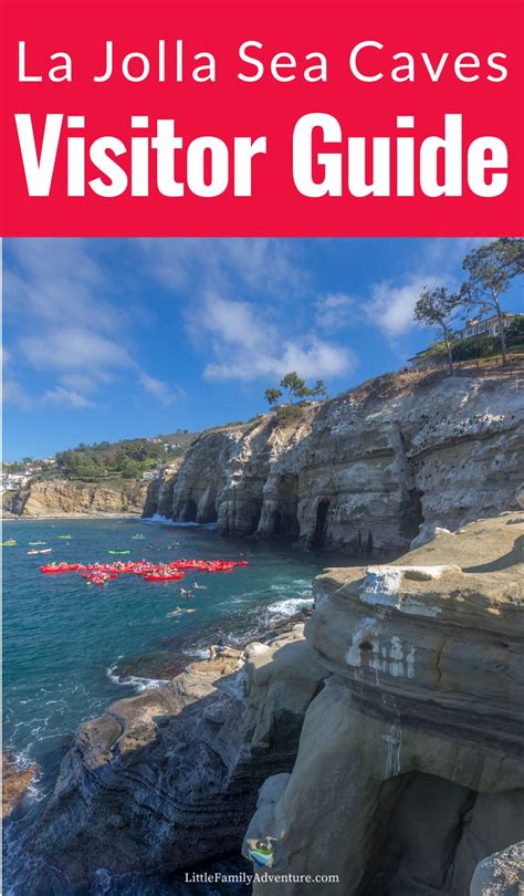 La Jolla Sea Caves - Ultimate Guide for Visitors