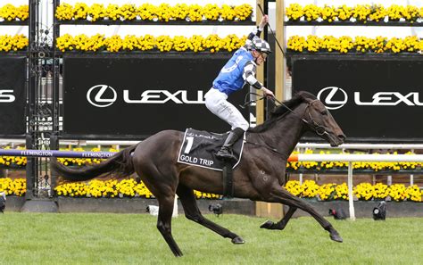 Melbourne Cup winner Gold Trip to return in the Feehan Stakes