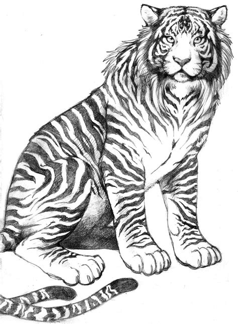 Byakko Sketch - Tiger Form by rekka on DeviantArt