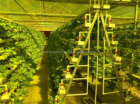 Customized Commercial Hydroponics Vertical Grow System For Greenhouse City Farm - Buy ...