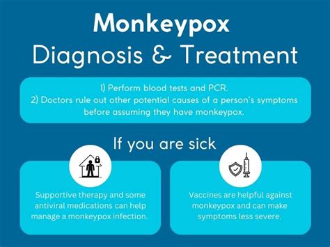 The Ultimate Guide to Monkeypox in Singapore