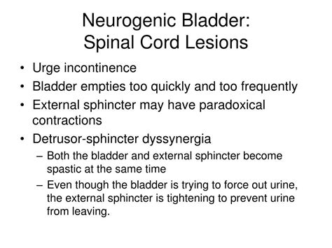 PPT - Neurogenic Bladder Neurogenic Bowel LE Weakness PowerPoint ...