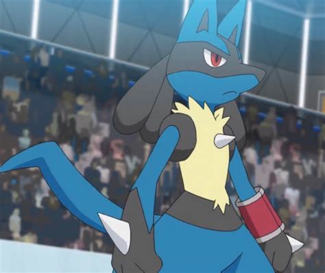 LUCARIO Ready for Battle by Yingcartoonman on DeviantArt