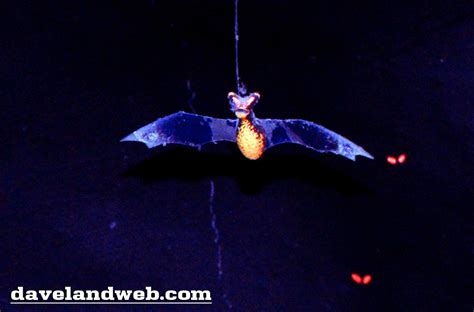 Big Thunder Mountain Railroad Bats | WDWMAGIC - Unofficial Walt Disney ...