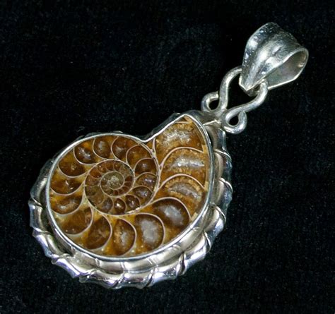 Sterling Silver Ammonite Pendant (#5121) For Sale - FossilEra.com