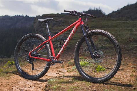 The 2021 Specialized Rockhopper is Super Affordable - BIKEPACKING.com