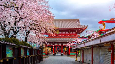 Top 10 Temples in Japan | Travel Guide | Enchanting Travels