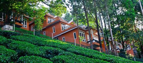 Tea Valley Resort Munnar, Kerala | 4* Resort in Munnar