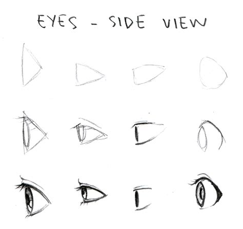 Anime Side Profile Eyes How to draw anime favourites by natallycastillo on deviantart these ...