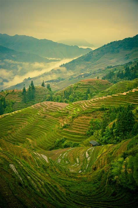 Rice terraces of Longsheng on Behance