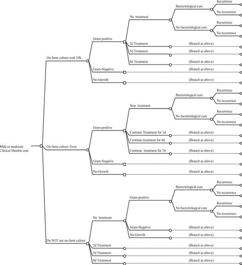 Simplified structure of the decision tree. Decision nodes are ...